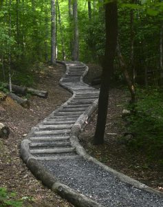 The new trail leading to Enloe Cemetery is 150 feet long and starts at the back of the parking lot for Mingus Mill. Photo by Holly Kays, courtesy of Smokies Life. 