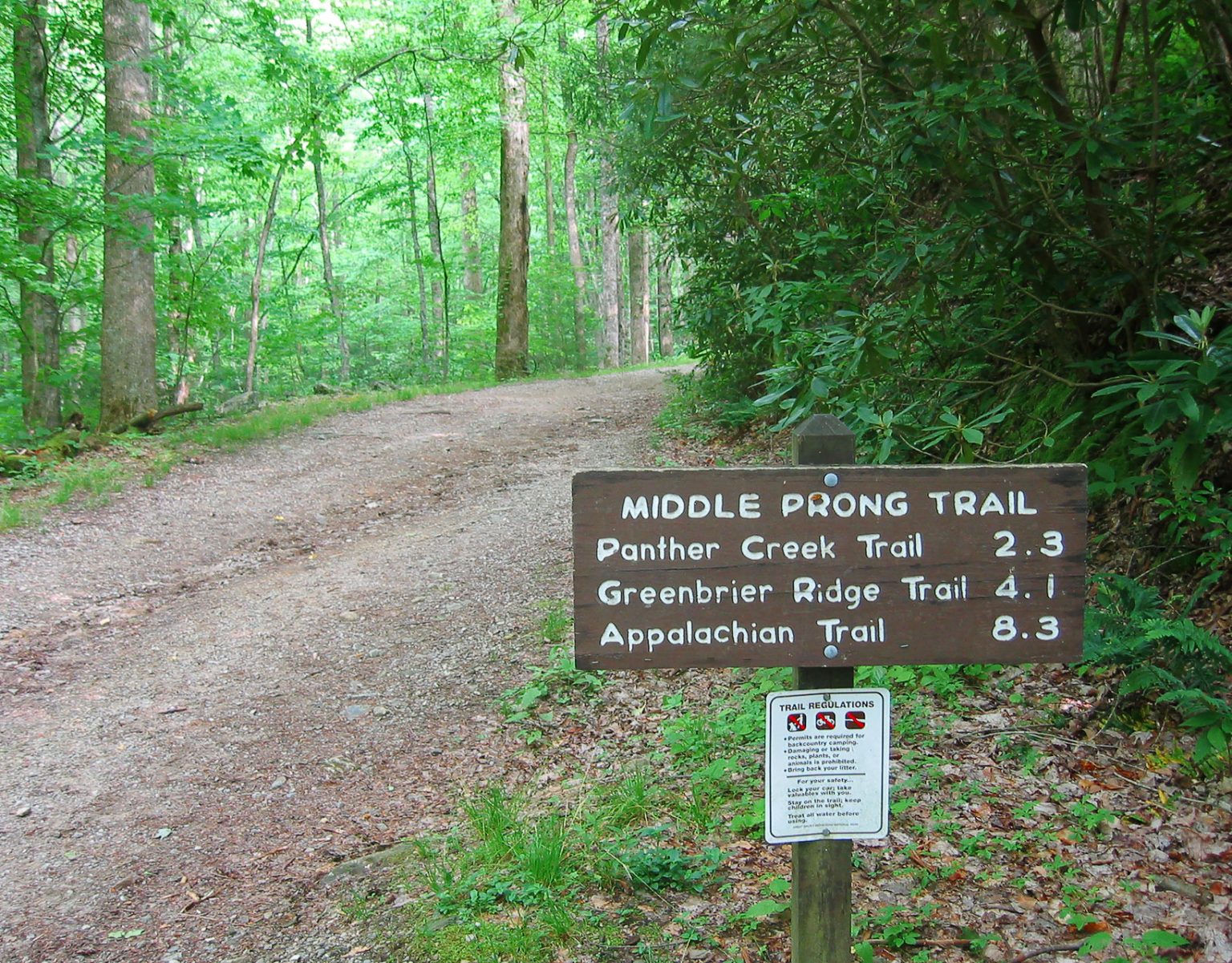 Originating in the Tremont area of the park, Middle Prong Trail offers relatively easy hiking options with a gentle grade following a beautiful mountain stream. Photo by pfly via Flickr, CC BY-SA 2.0.