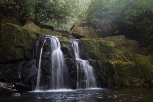 Though less visited than many other waterfalls in the park, Indian Flats Falls is a magical spot. Photo by Emma Oxford.