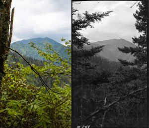 Dutch Roth photographed this view of Mount Le Conte from what he termed as the “new Class ‘A’ trail along the Boulevard,” and his descendent Claire Stovall returned to Boulevard Trail this summer to replicate the shot. Photos by Claire Stovall (left) and Dutch Roth, courtesy of GSMNP Archives (right).