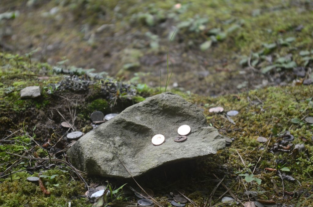 Coins left atop grave markers at Enloe Cemetery near Mingus Mill symbolize respect and visibility. Photo by Holly Kays, courtesy of Smokies Life.