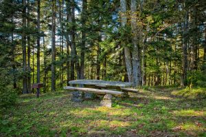 Heintooga Picnic Area offers a picturesque place for a meal before or after hiking Flat Creek Trail. Photo by Kristina Plaas.