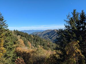 Newfound Gap is famous for its views but is also the perfect starting place for a family hike. Photo by Holly Kays. 