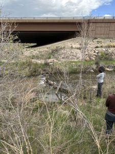 Groups from ICOET toured animal crossing projects in Colorado. Often, crossings develop because of the involvement of government staff and officials and buy-in from states’ departments of transportation. Photo courtesy of UC Davis, Road Ecology Center.