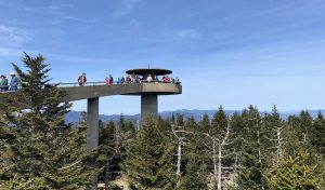 In September 2024, the traditional Cherokee name Kuwohi became the official name of the park’s highest mountain, formerly known as Clingmans Dome. Photo by Matthew Podolski.