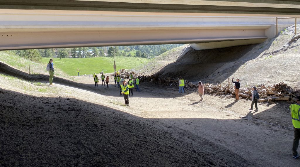 An interstate project in Colorado drew a tour group from ICOET to see a mountain corridor project—double-span bridges under six lanes designed to reduce collisions and provide a safe passageway for elk, mule deer, and other wildlife. Photo courtesy of UC Davis, Road Ecology Center.