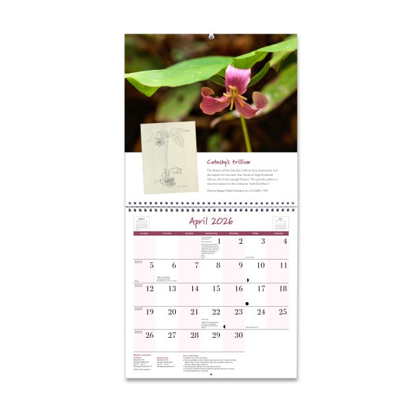 2026 Smokies Life Wall Calendar - Image 3