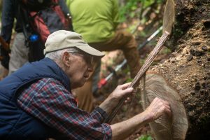 Dan Pittillo counts tree rings to determine the age of a freshly cut oak on the Henson Ridge Loop in May 2025. Photo by Fiona Howell, courtesy of the Blue Ridge Bartram Trail Conservancy.