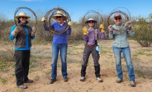 An outcome of road ecology efforts in the Southwest is the Desert Fence Busters project to remove excess barbed wire across public and private land in the Sonoran Desert. So far, about 70 miles of redundant fencing has been removed. Photo courtesy of Desert Fence Busters.