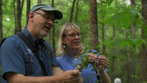 Jim and Leslie Costa inspect an insect while walking in Great Smoky Mountains National Park