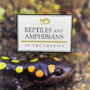 Reptiles and Amphibians of the Smokies