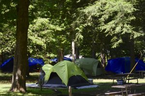 Tents set up in a shaded area under trees