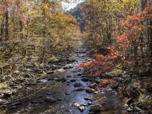 The Middle Prong of the Little River runs through the Great Smoky Mountains Institute at Tremont campus, located on the site once occupied by Camp Margaret Townsend. Photo by Valerie Polk. 