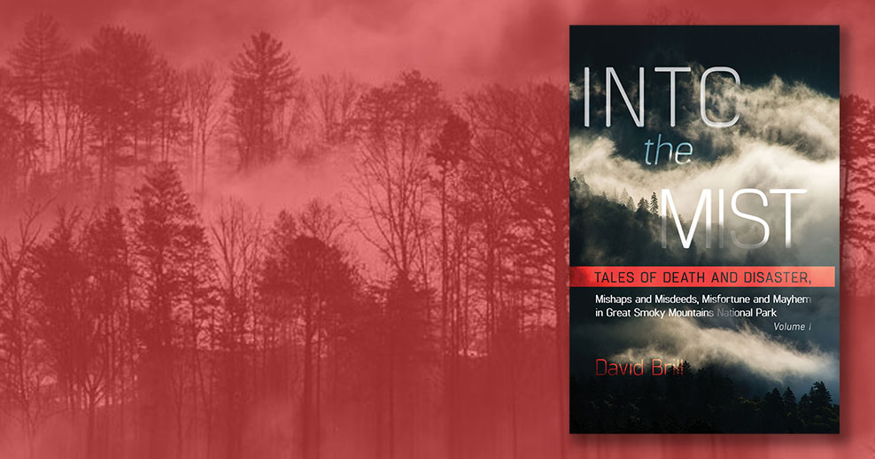 Into the Mist book cover on a red graphical background