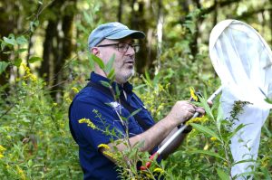 A man holding a butterfly net in the middle of a field looking an insect