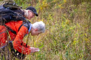 Two women bend down in a field looking for insects