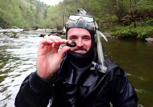 Man in wetsuit holding a mussel that has been tagged