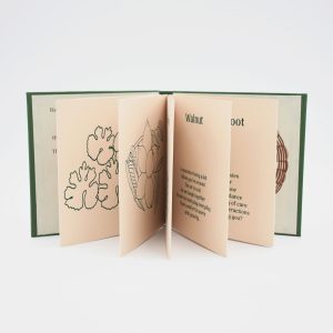 An open book showing off the artwork and copy inside