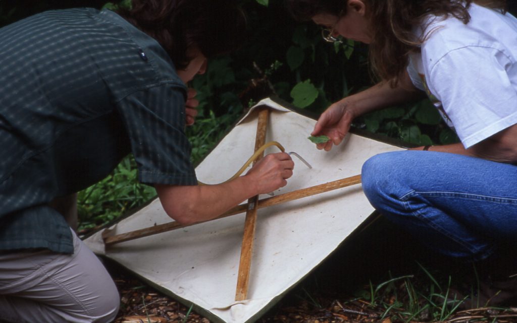 Two people working with insect collecting equipment