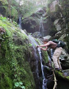 A man stands precariously on a branch wearing a backpack as he bags an insect alongside a frozen waterfall