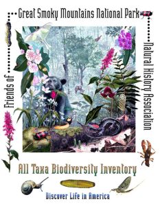 DLiA's original logo featuring different park species