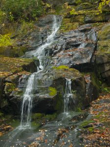 Water dripping over moss covered rocks