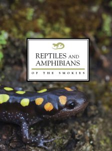 Cover of Reptiles and Amphibians of the Smokies field guide cover featuring a spotted salamander