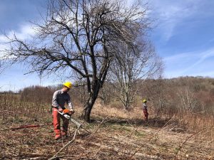 A man in a yellow hard hat holding a chain saw in the middle of a barren field