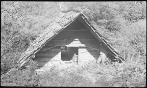Apple barn circa 1935