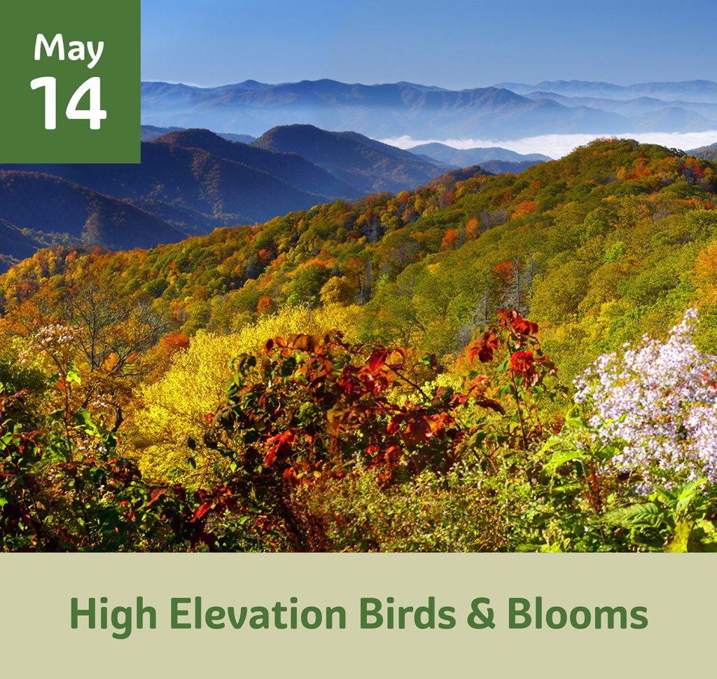 High Elevation Birds & Blooms May 14
