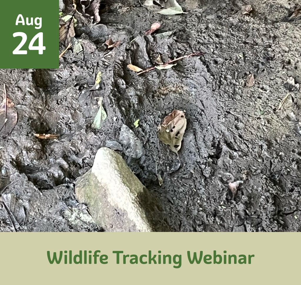 Wildlife Tracking Webinar August 24