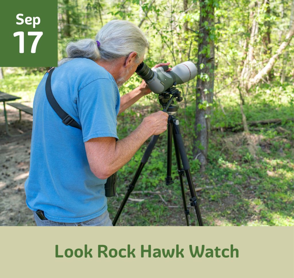 Look Rock Hawk Watch September 17