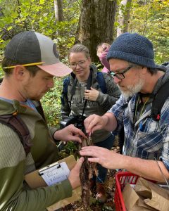 A group of people look at fungi on a log