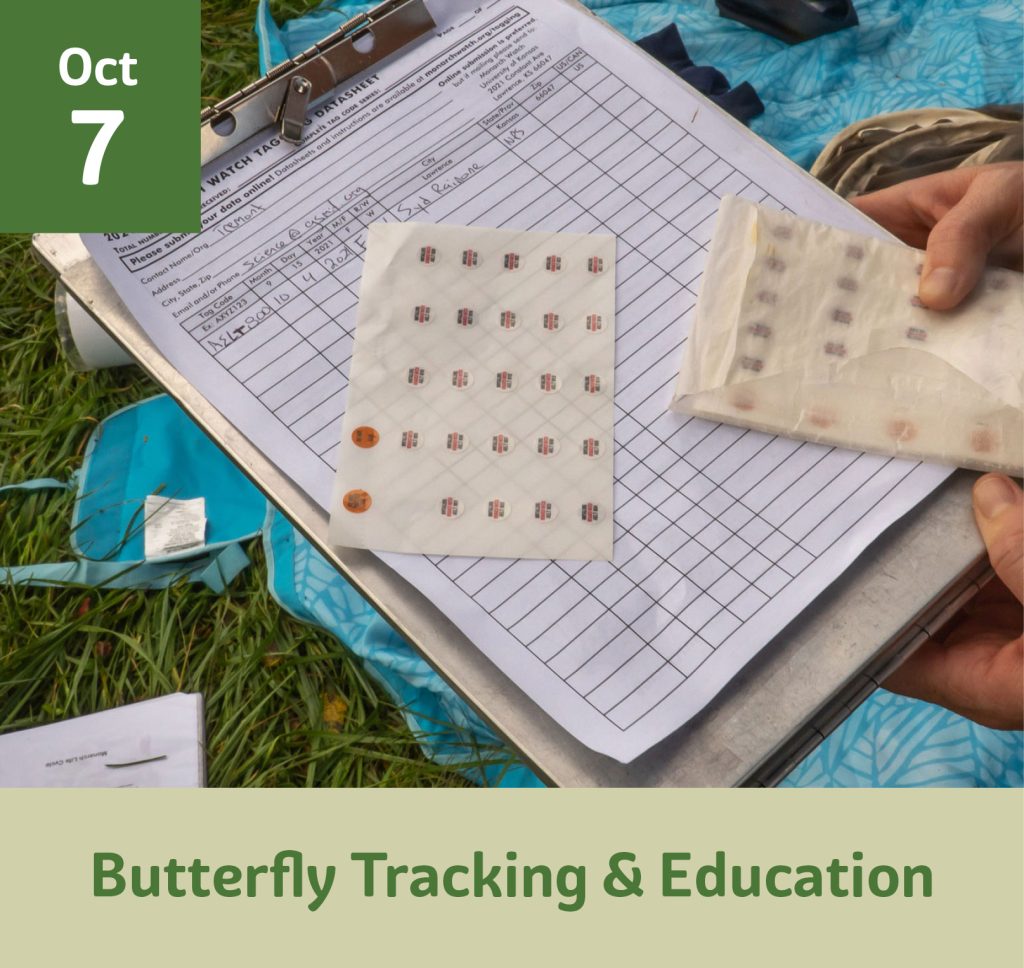 Butterfly tracking and education October 7