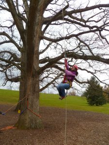 A woman in a helmet and harness swings by a rope from a tree