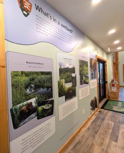 A photo of a wall display with photos, descriptions and illustrations.