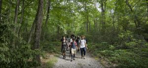 A group of black teens wearing backpacks walking towards the camera along a trail in the woods.