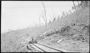 Black and white photo of train tracks surrounded by felled trees