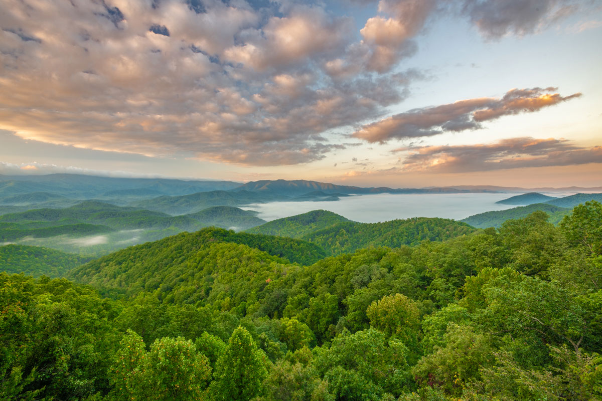 Landscape view of the Smoky Mountains covered in mist in the summer
