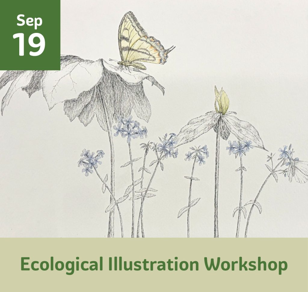 September 19 Ecological Illustration Workshop