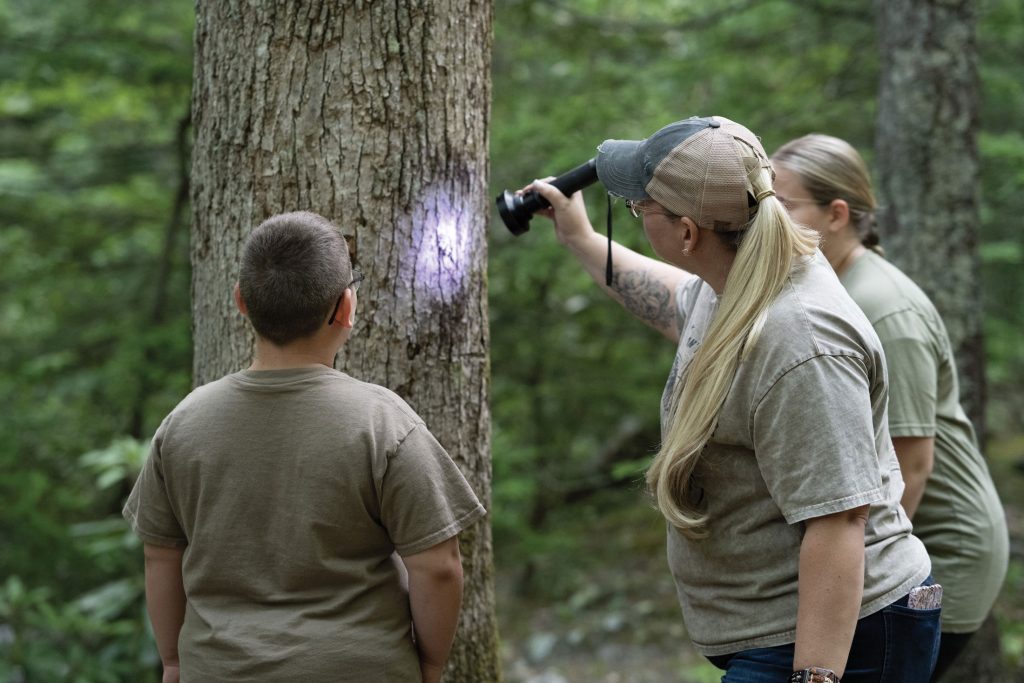 A woman in a baseball cap shines a UV light on a tree while two children look on.