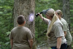 A woman in a baseball cap shines a UV light on a tree while two children look on.