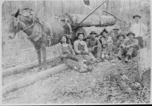 Black and white photo of a group of men in overalls seated in front of mule hooked to a sled carrying huge logs.