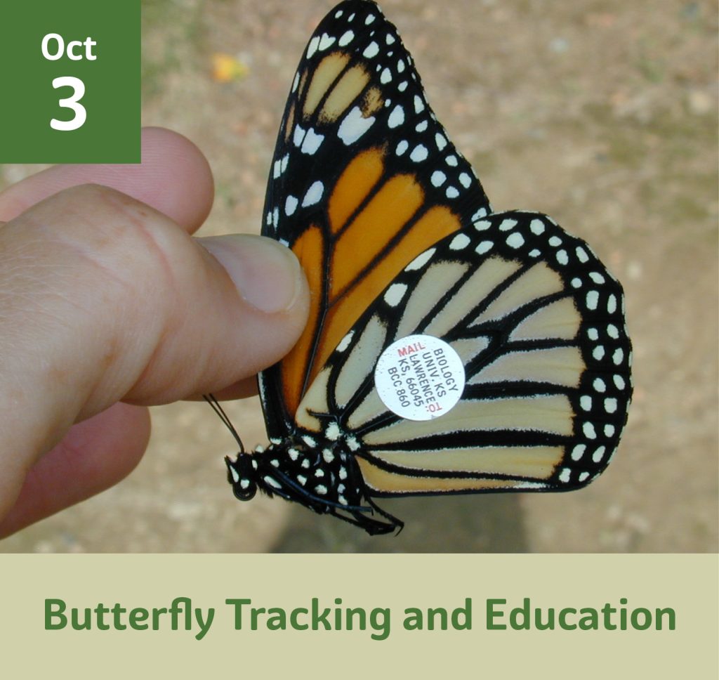 October 3 Butterfly tracking and education