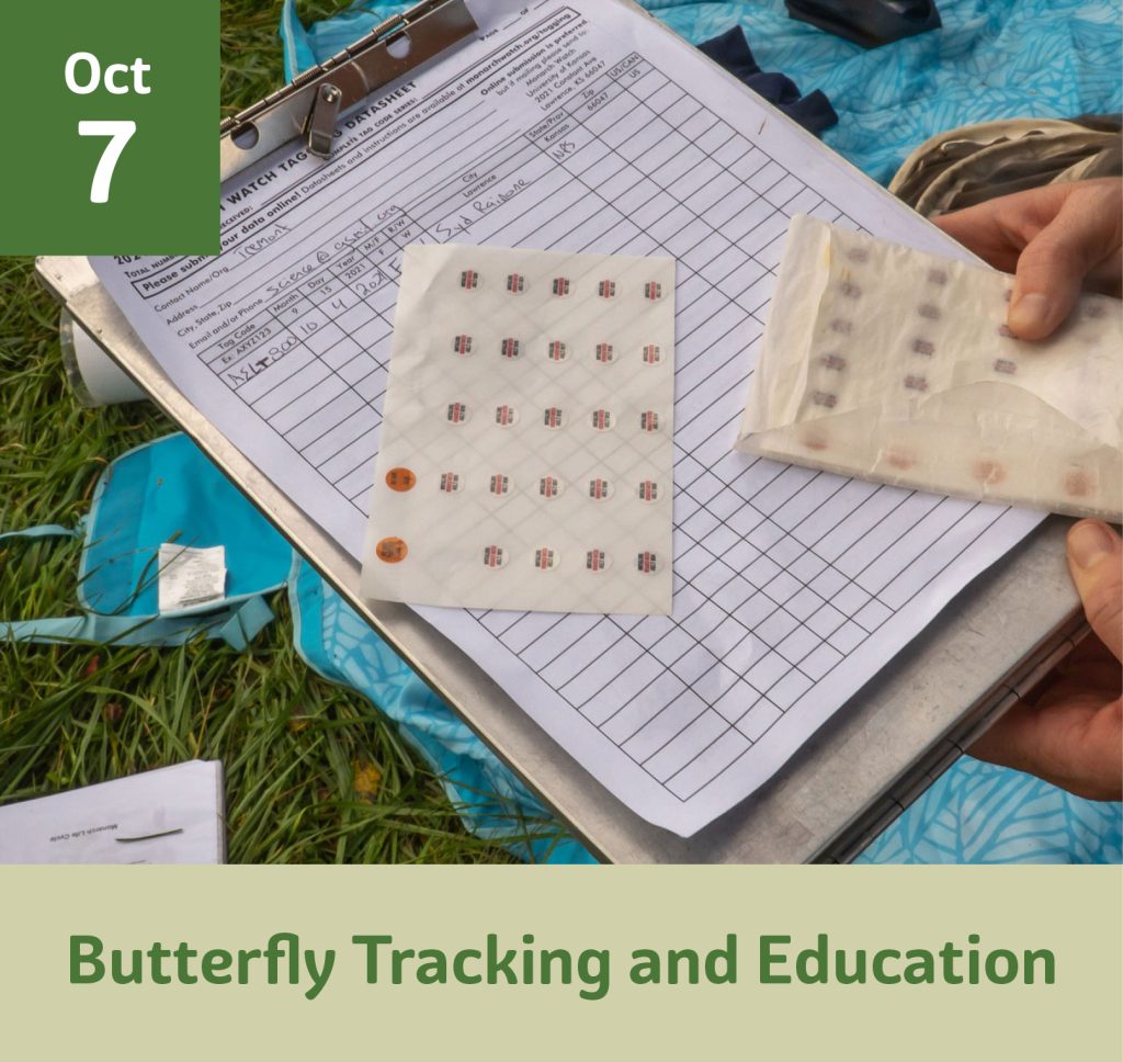 October 7 butterfly tracking and education