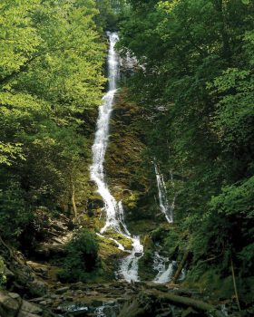 Mingo Falls. Photo provided by Valerie Polk.