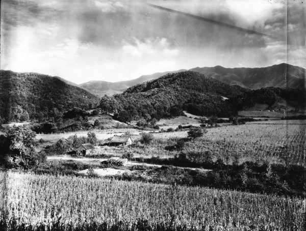 Small farms and open fields once made a patchwork of the valleys around the Great Smoky Mountains as captured in this photo of Gatlinburg taken September 25, 1922. Mount Le Conte can be seen in the distance. Photo provided by Thompson Photograph Collection, Calvin M. McClung Historical Collection, Knox County Public Library.