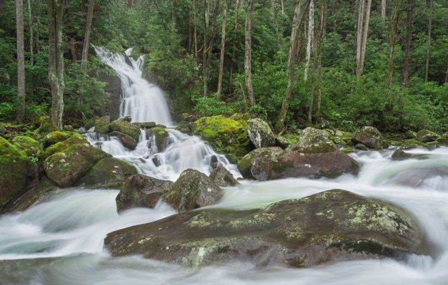 Viewing Mouse Creek Falls from creek level showcases a green tapestry of rhododendron and moss-covered boulders. Canon EOS 5DMkIII + Canon EF 17-40mm f/4 L USM at 21mm, f/16, 1.5s, ISO50. Provided by Michele Sons.