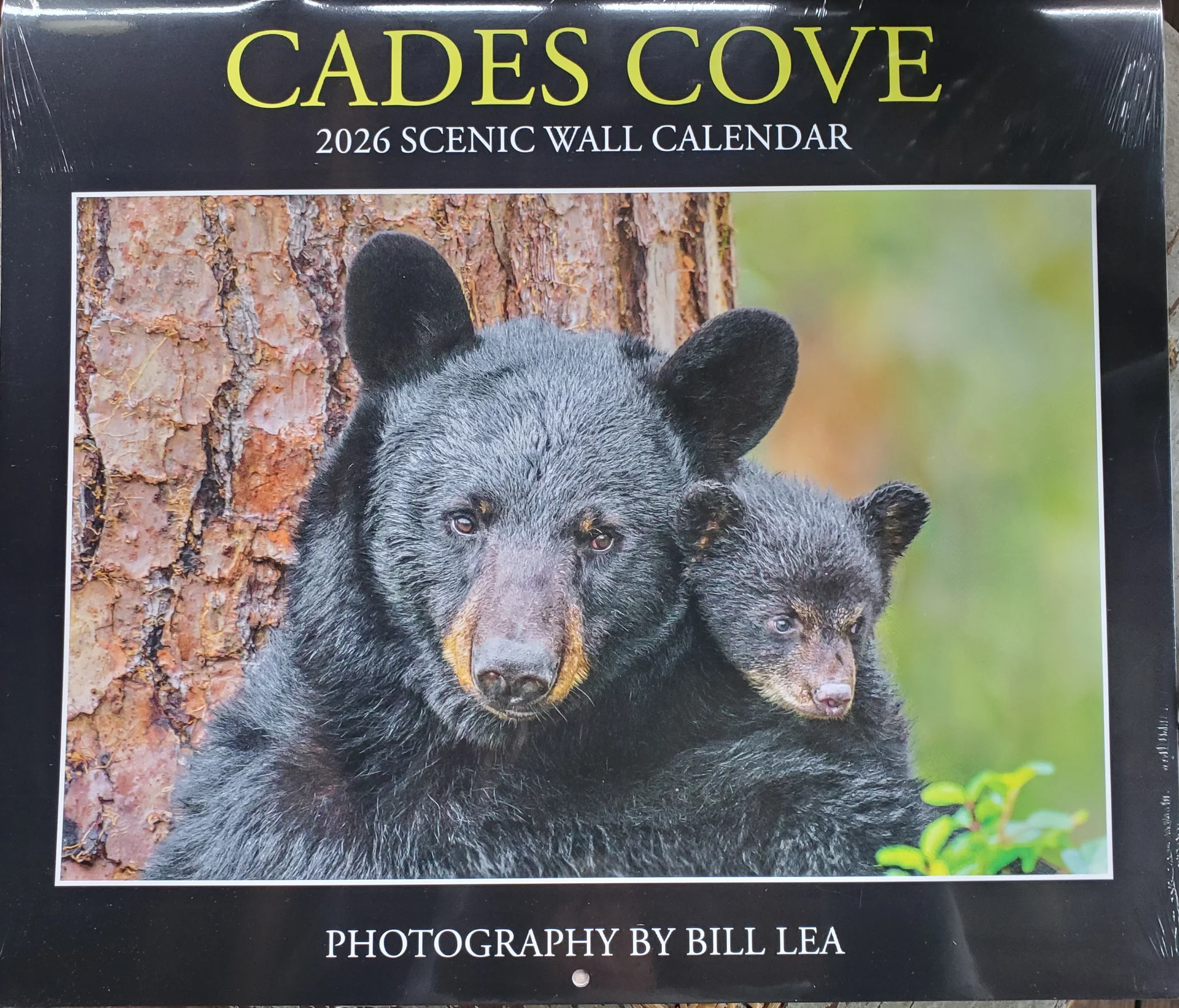 2026 Cades Cove Calendar - Image 3