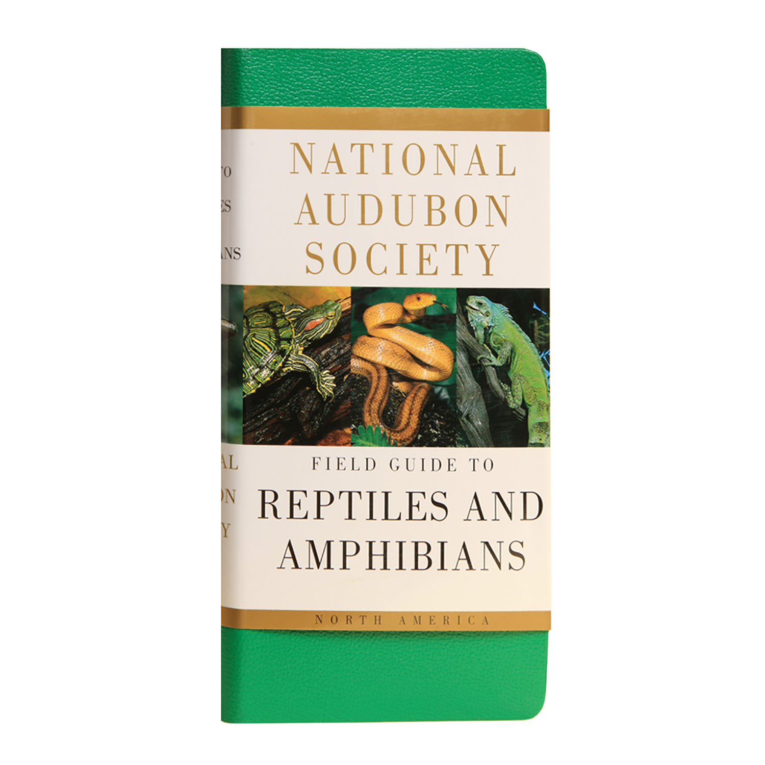 National Audubon Society Field Guide to Reptiles & Amphibians
